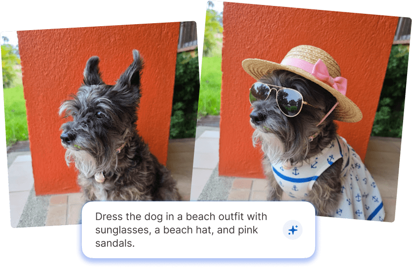 Dog beach outfit